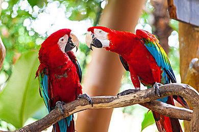 《全面战争：战锤3》1.02补丁下周发布 1.1有更多新内容